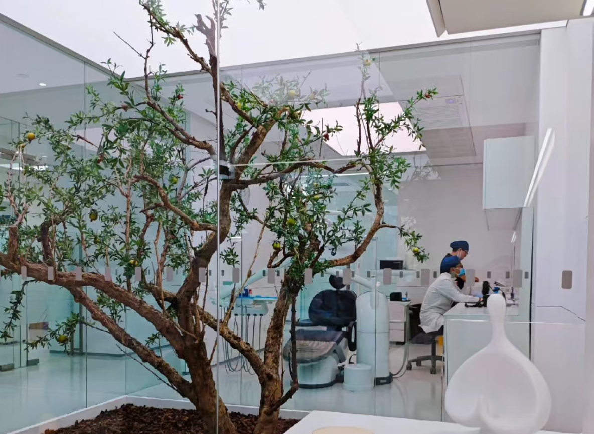 International dental care add-on service in a premium dental clinic in China
