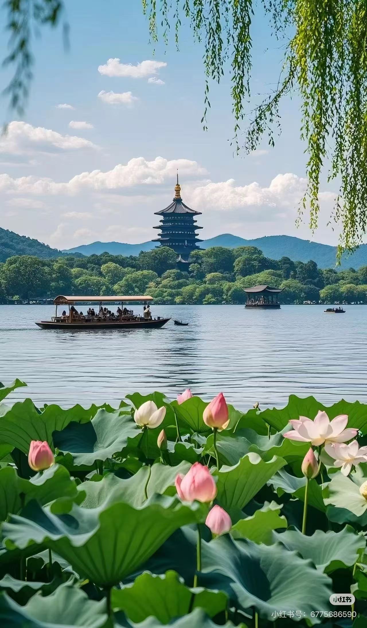 Hangzhou health concierge plan for private healthcare visits in China